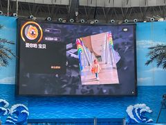 -海合安成都极地海洋公园