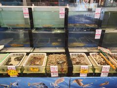 -添福来墨鱼饺子 · 海鲜东北菜(泡崖店)
