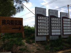 -柳沟豆腐宴义豆堂24号农家院