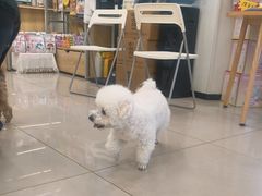 -艾贝尔宠物医院 ·中兽医·宠保定点(北门桥店)