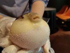 -肆月河豚·淮扬菜·湘菜(华天店)