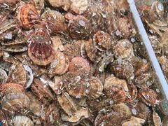 -和源祥·日照菜扛把子(万平口一店)