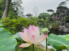 -无锡蠡湖国家湿地公园-蠡园