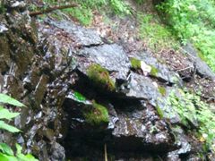 android_upload_pic-白草畔自然风景区