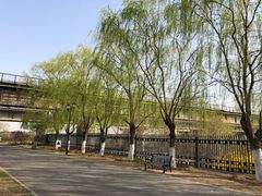 -永定河休闲森林公园