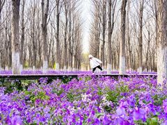-马家湾湿地公园