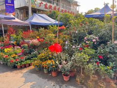 -细村农贸综合市场