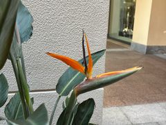 -京津佛罗伦萨小镇