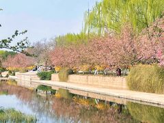 -元大都城垣遗址公园