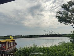 -南大港湿地风景区