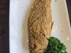 -老牌坊鲁菜名店(聊城美食岛店)