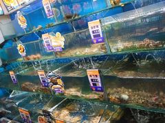 -小船渔村•大连菜•大连焖鱼(明泽街店)