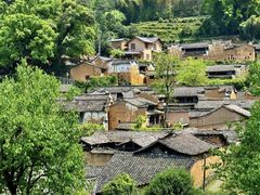 -杨家堂村
