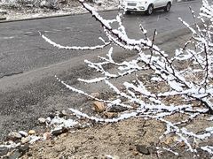 -米堆冰川