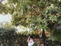 -厦门途易蓝罗约海景温泉酒店(园博苑地铁站店)