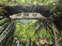 -天目湖山水园