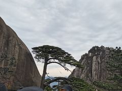 -黄山风景区