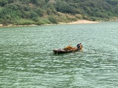 -羚羊峡古栈道森林公园