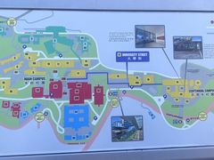 -香港大学