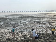 -宝安西湾红树林湿地公园