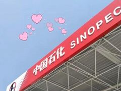 -中国石化加油站(王串场站)