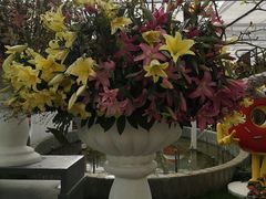-上海鲜花港