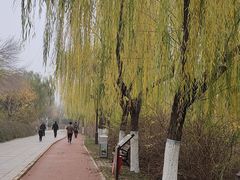 -南翠屏公园