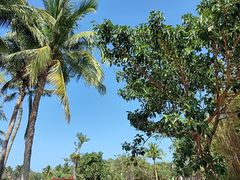 -白沙门生态公园