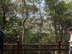 -普陀山风景区-佛顶山
