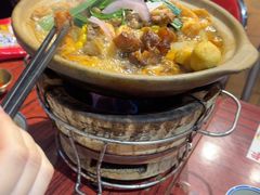 -沙胆彪炭炉牛杂煲(成都玉林店)