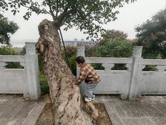 -武汉长江大桥