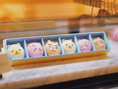 -KAKAO FRIENDS(弘大店)