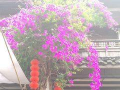 -黄龙溪古镇
