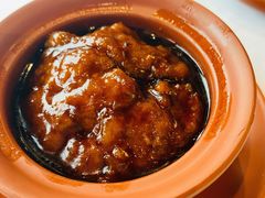 张氏狮子头-羲和雅苑•北京烤鸭(平安国际金融中心店)