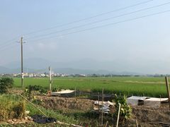 -都斛海鲜街