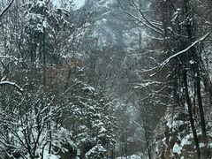 -秦岭终南山世界地质公园翠华山景区