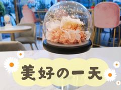 -妙井の茶(罗湖地王店)