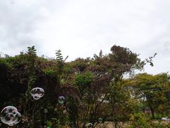 -丹樱生态园