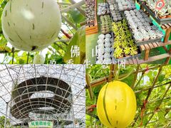 -盈香心动乐园