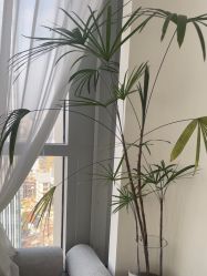 -Miss·A日式美甲美睫