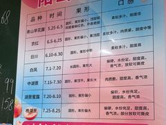 -老袁家蜜桃农场·阳山水蜜桃