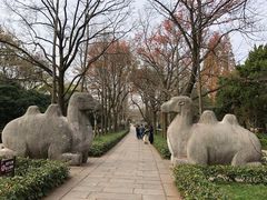 -LELECHA乐乐茶(新街口大洋店)