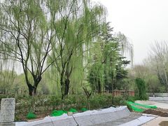 -西安市长乐公园