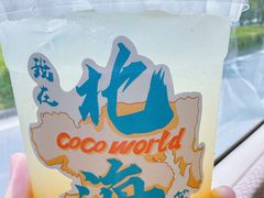 -椰吉满•鲜椰饮品(侨港黑金冠好店)