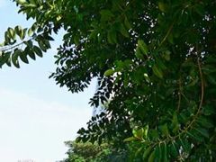 -音乐广场