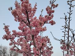 -玄武湖景区-情侣园游乐场