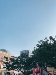 -Early Rider 儿童自行车(蓝色港湾店)