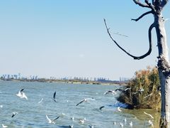 -捞渔河湿地公园