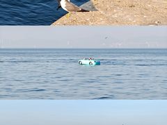 -大连海之韵公园