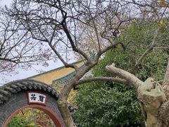 -湛山寺